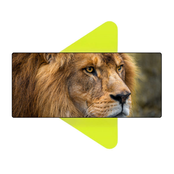 Mouse Pad Megarex Gamer 80x30x3mm Leão speed Antiderrapante Borda Costurada Grande