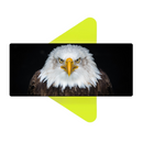 Mouse Pad Megarex Gamer 80x30x3mm Animal Gavião speed Preto Antiderrapante Borda Costurada Grande