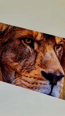 Mouse Pad Megarex Gamer 80x30x3mm Leão speed Antiderrapante Borda Costurada Grande