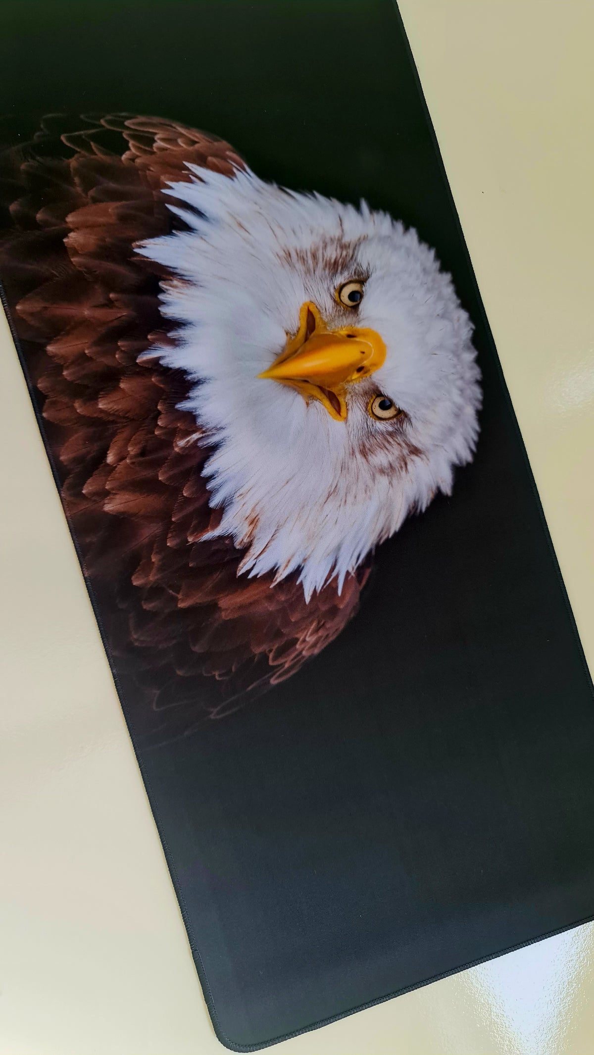 Mouse Pad Megarex Gamer 80x30x3mm Animal Gavião speed Preto